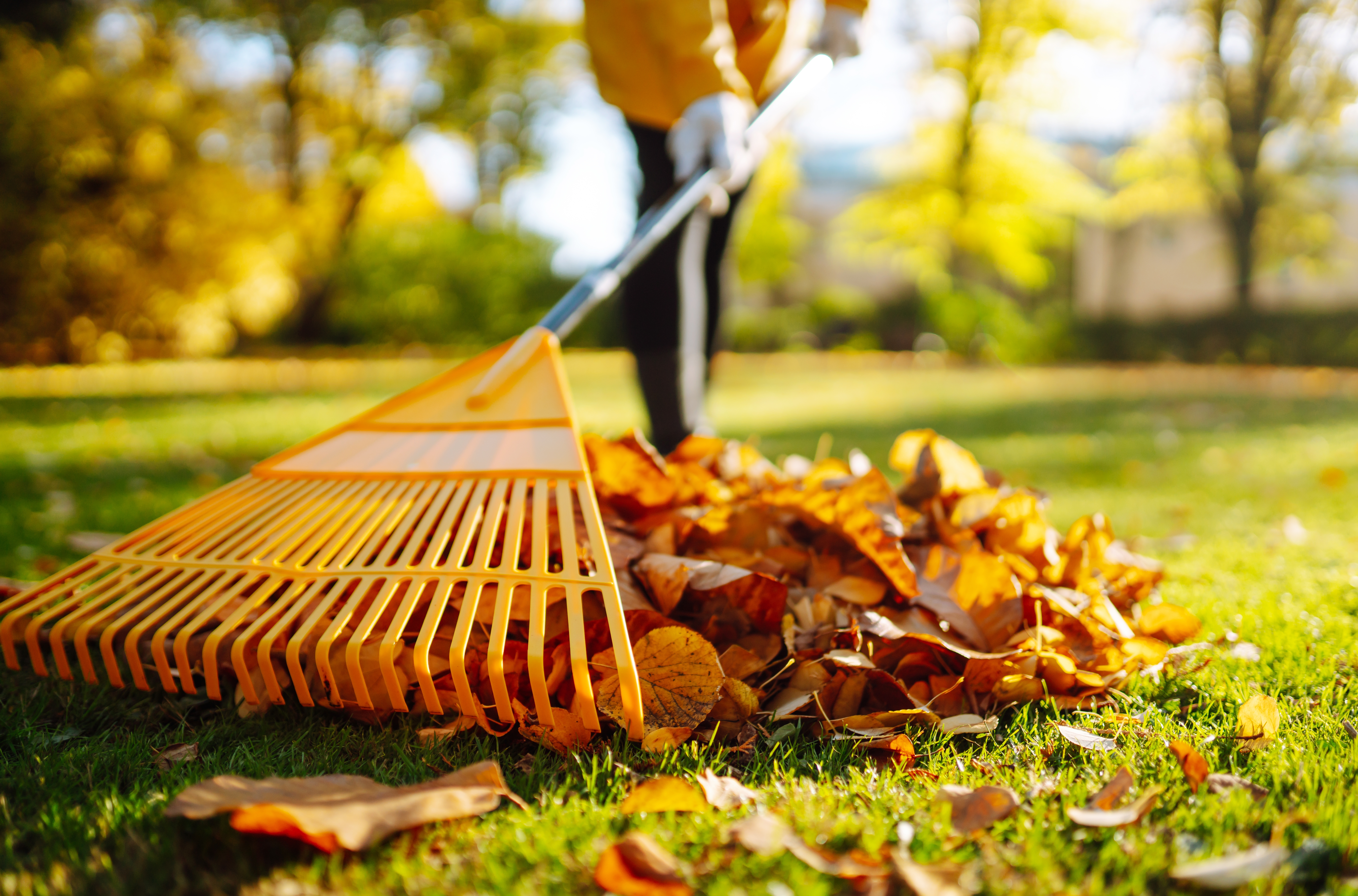 Garden maintenance